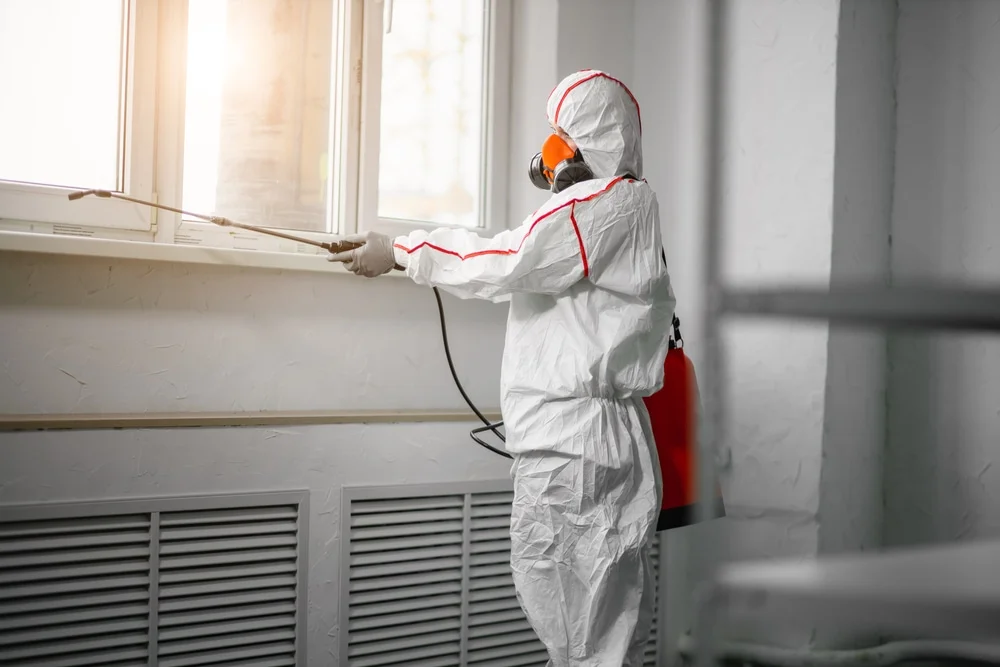 Professional mold remediation services in Summerfield, FL